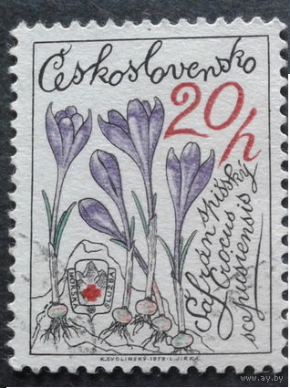 Чехословакия 1979 цветы флора