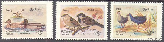 Ирак 2000 фауна птицы