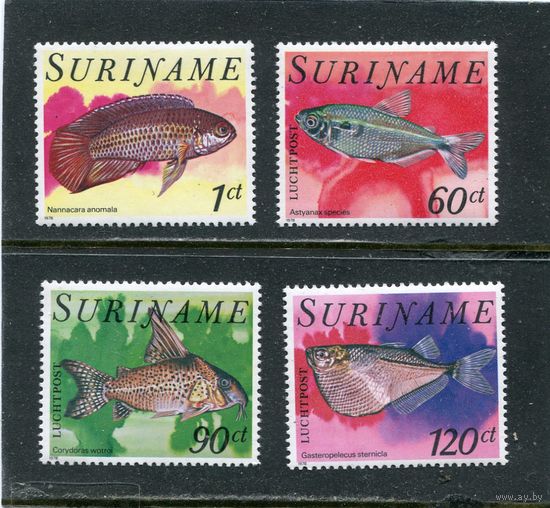 Суринам. Рыбы тропических вод. Авиапочта