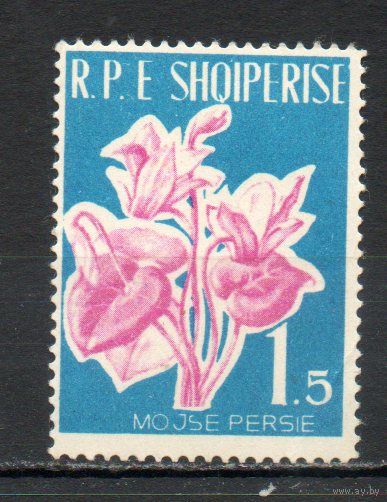 Цветы Албания 1961 год 1 марка