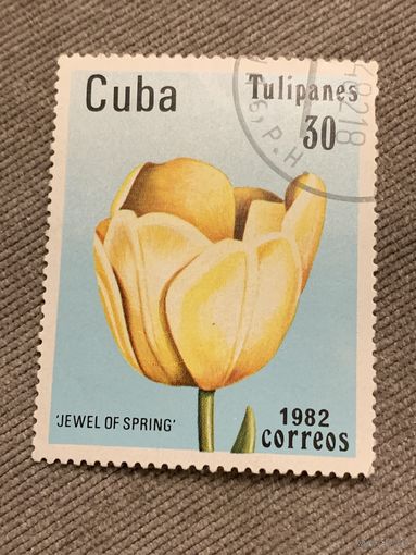 Куба 1982. Тюльпаны jewel of spring. Марка из серии
