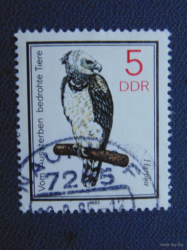 Германия 1985 г. Птицы.