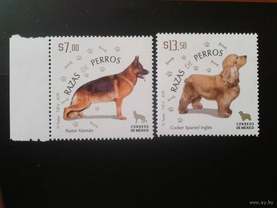 Мексика 2011 Собаки полная серия