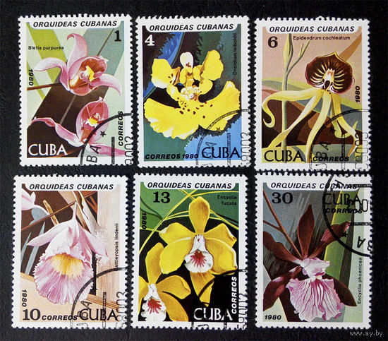 Куба 1980 г. Орхидеи. Цветы. Флора, полная серия из 6 марок #0019-Ф1P5