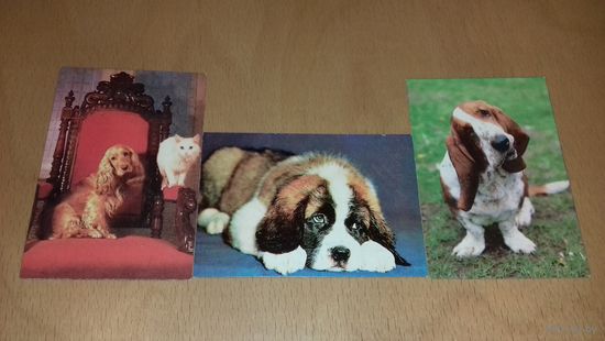 Календарики 1990 Собаки. Кот. 3 шт. одним лотом