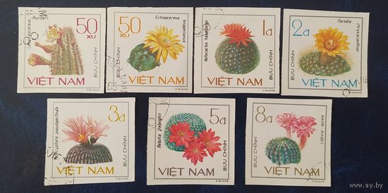 Вьетнам 1985 кактусы.