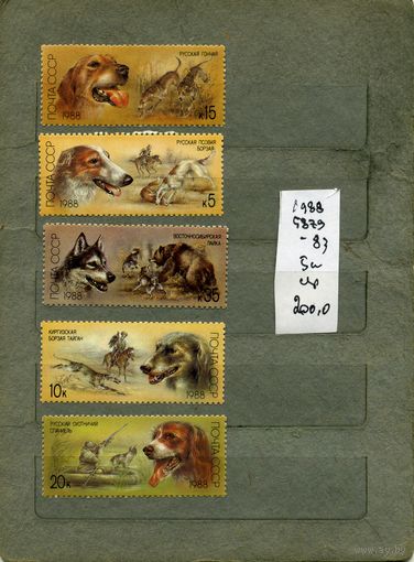 СССР, 1988, Отечеств породы охотн. Собак, серия 5м, ( на "СКАНЕ" справочно приведены номера и цены по ЗАГОРСКОМУ)