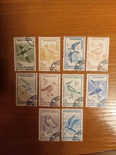 1991 Румыния фауна птицы полная серия (3-12)