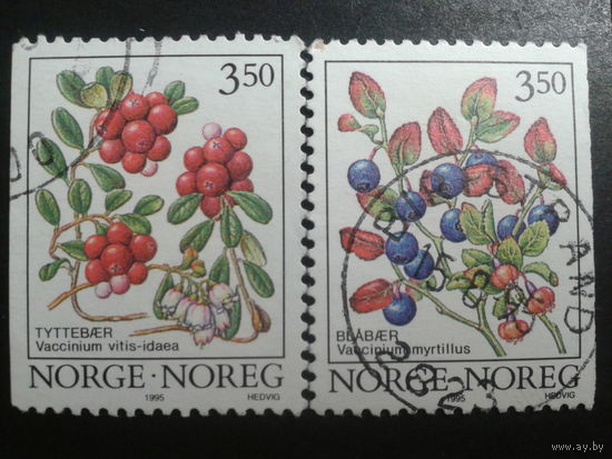 Норвегия 1995 ягоды полная серия
