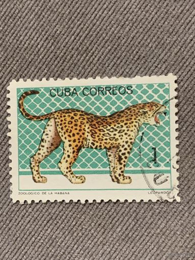 Куба. Леопард. Марка из серии