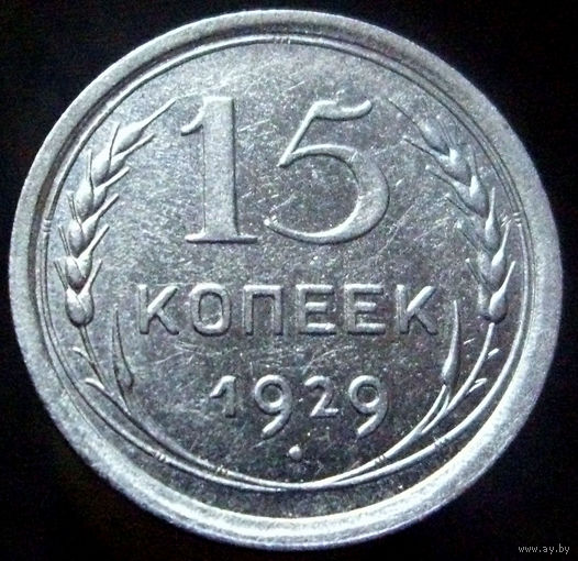 15 копеек 1929 (1)