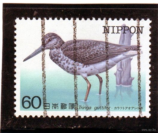 Япония.Ми-1582. Нордманн Гринсэнк (Tringa guttifera). Серия: Птицы, находящиеся под угрозой исчезновения.1984.