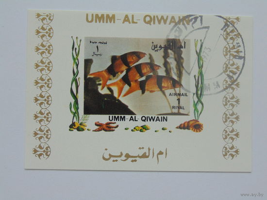 Эмм-аль-Кайвайн 1973г. Морская фауна.