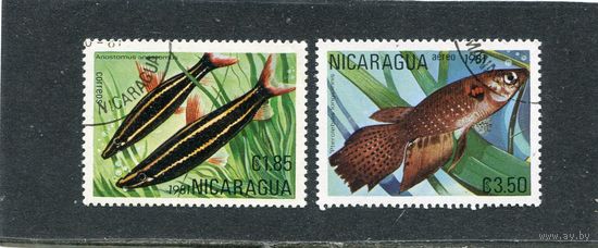 Никарагуа. Фауна. Тропические рыбы