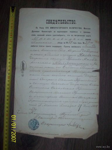 Свидетельство его императорского величества местковичской церкви пинского уезда 1868 года о рождении дворянина Телятицкого.