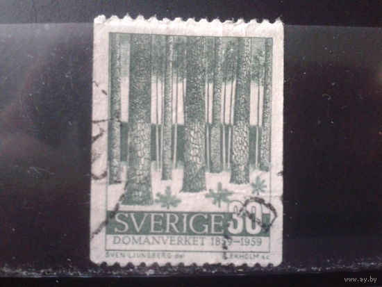 Швеция 1959 Лес