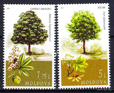 2018 Молдова. Деревья