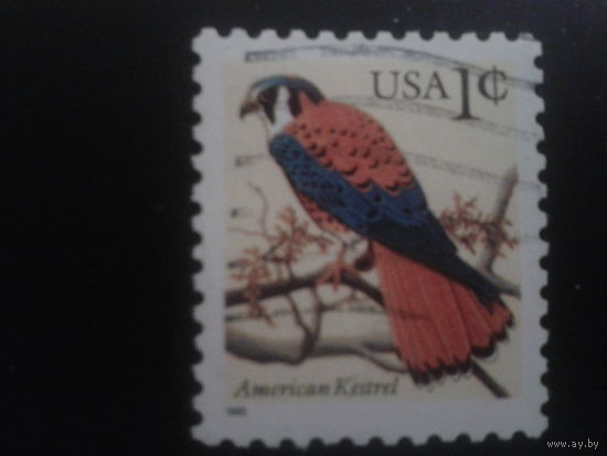 США 1995 птица