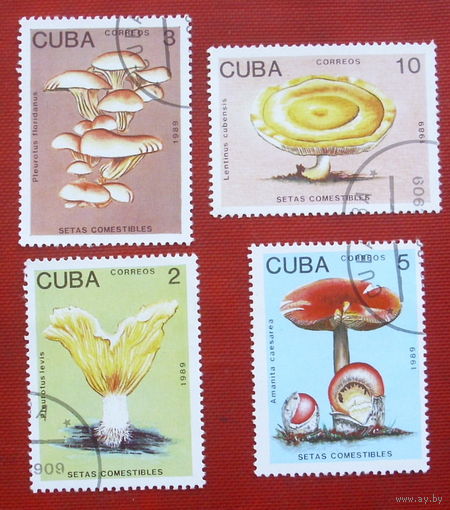 Куба. Грибы. ( 4 марки ) 1989 года. 2-18.