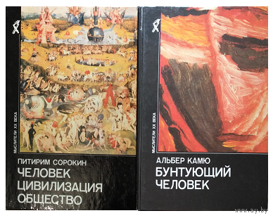Книги из серии "Мыслители ХХ века" (комплект 2 книги)
