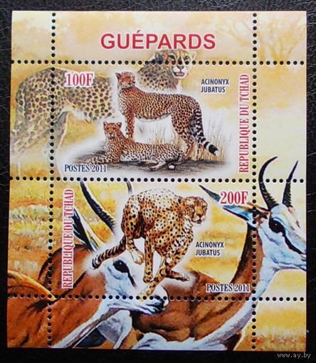 Марки - фауна гепарды Чад 2011 блок