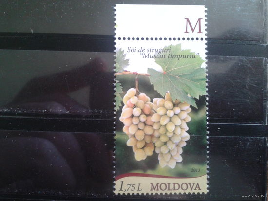 Молдова 2013 Виноделие, виноград