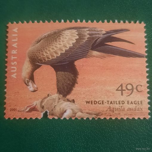 Австралия 2001. Фауна. Wedge Tailed Eagle