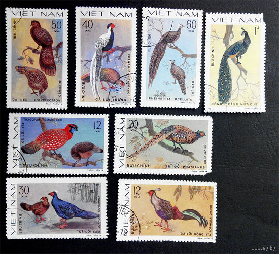 Вьетнам 1978 г. Птицы. Фазаны. Фауна, полная серия 8 марок #0028-Ф1P7