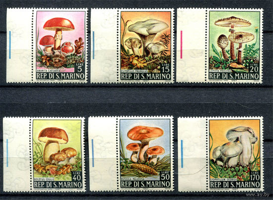 Сан-Марино - 1967г. - Грибы - полная серия, MNH, одна марка с царапиной [Mi 891-896] - 6 марок