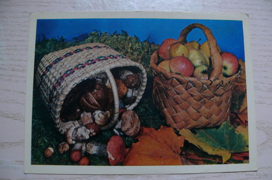 Тужиков В.(фото), Яблоки и грибы, 1979, 1980, чистая.