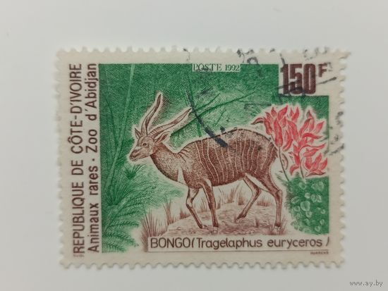 Кот-д'Ивуар 1992. Животные в зоопарке Абиджана