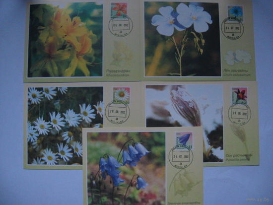 Картмаксимум 2002 цветы 5 карточек