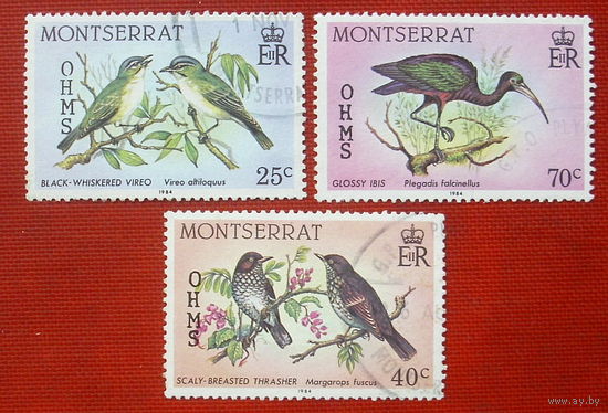Монтсеррат. Птицы. ( 3 марки ) 1984 года. 8-13.