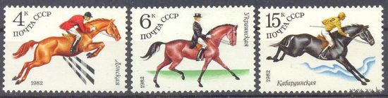 СССР конный спорт лошадь фауна