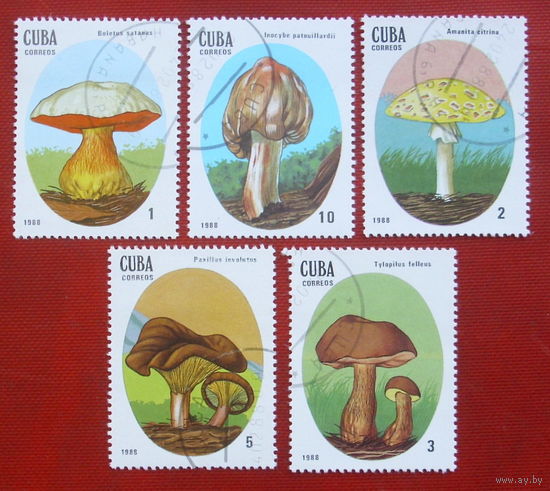 Куба. Грибы. ( 5 марок ) 1988 года. 6-3.