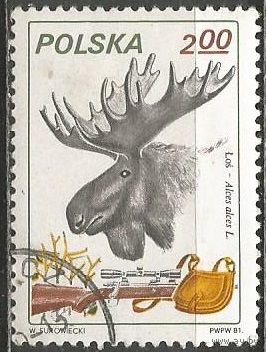 Польша. Европейский лось. 1981г. Mi#2747.