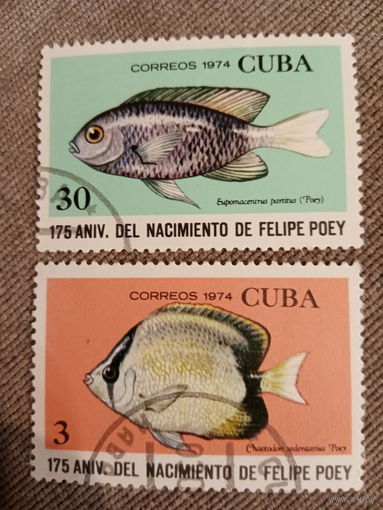 Куба 1974. Морские рыбы