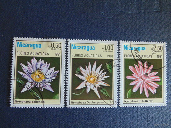 Никарагуа 1981 г. Цветы.
