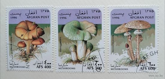 Афганистан 1996. Флора - Грибы. 3 марки
