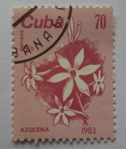 Куба. Цветы. 1983г.