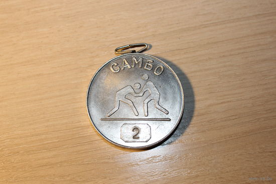 Спортивная медаль "Турнир П. И. Куприянова", Жодино, самбо, 2-е место.