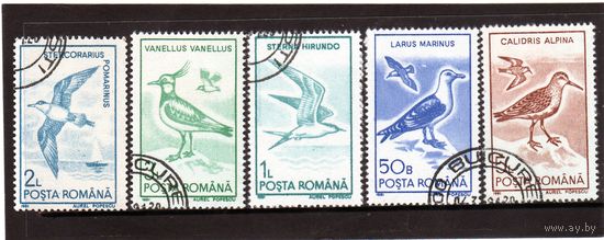 Румыния. Ми 4642-4646. Серия: водные птицы. 1991.
