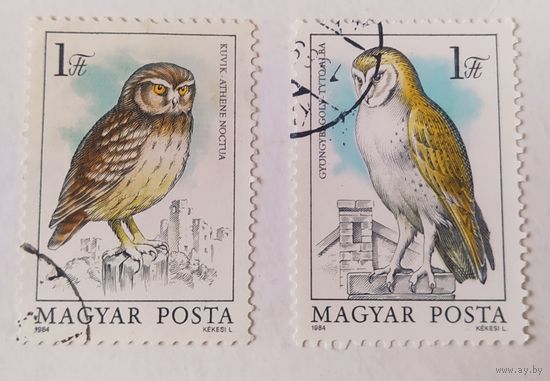 Венгрия 1984, совы