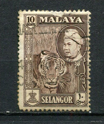 Малайские штаты - Селангор - 1961/1962 - Тигр 10С - (есть тонкое место) - [Mi.84a] - 1 марка. Гашеная.  (Лот 38CQ)