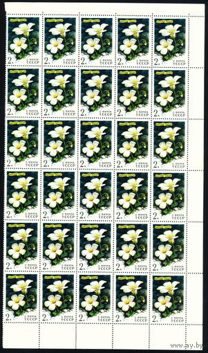 Цветы гор Сибири СССР 1977 год часть листа из 30 марок