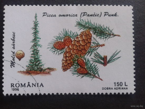 Румыния 1996 шишки