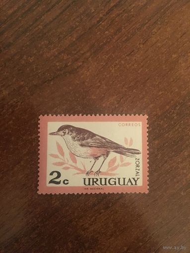 Уругвай 1963. Рыжебрюхий дрозд.