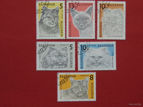 Болгария 1989г. Коты.