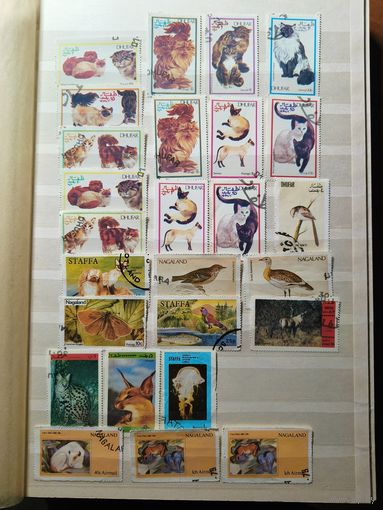 Сборный лот марок фауны с 1й копейки