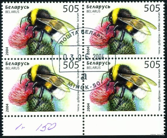 Пчёлы, осы, шмели Беларусь 2004 год (574) квартблок